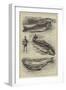 Trout Fishing, the Pick of the Basket-null-Framed Giclee Print