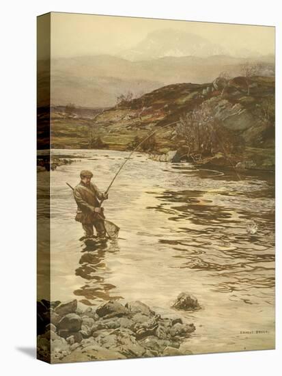 Trout Fishing-null-Stretched Canvas