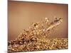 Trout Flying Out of Bed of Almonds in Preparation For Trout Amandine-John Dominis-Mounted Photographic Print