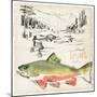 Trout Journal II-Jennifer Parker-Mounted Art Print