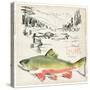 Trout Journal II-Jennifer Parker-Stretched Canvas