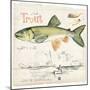 Trout Journal III-Jennifer Parker-Mounted Art Print