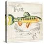 Trout Journal IV-Jennifer Parker-Stretched Canvas