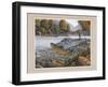 Trout Jumping-Ron Jenkins-Framed Art Print