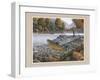 Trout Jumping-Ron Jenkins-Framed Art Print