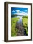 Trout Lake, Yellowstone National Park, Wyoming, USA-Roddy Scheer-Framed Photographic Print