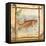 Trout Nature-Walter Robertson-Framed Stretched Canvas