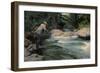 Trout on the Hook of a Fisherman in the north Woods, Circa 1900-null-Framed Giclee Print