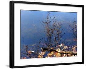 Trout Pond Autumn Nys-Anthony Paladino-Framed Giclee Print