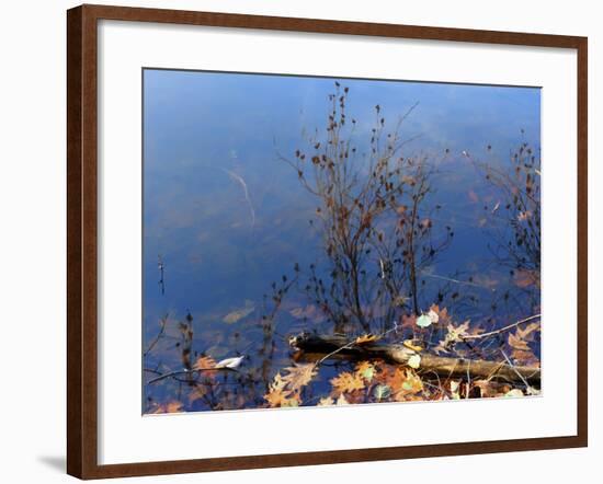 Trout Pond Autumn Nys-Anthony Paladino-Framed Giclee Print