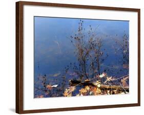 Trout Pond Autumn Nys-Anthony Paladino-Framed Giclee Print