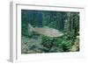 Trout (Salmo Trutta), Germany-Reinhard Dirscherl-Framed Photographic Print