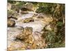 Trout Stream in the Tyrol, 1914-John Singer Sargent-Mounted Giclee Print