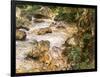 Trout Stream in the Tyrol, 1914-John Singer Sargent-Framed Giclee Print