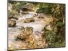 Trout Stream in the Tyrol, 1914-John Singer Sargent-Mounted Giclee Print