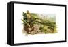 Trout Stream-Tim Knepp-Framed Stretched Canvas