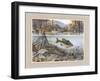 Trout under Water-Ron Jenkins-Framed Art Print