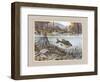 Trout under Water-Ron Jenkins-Framed Art Print