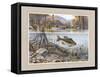 Trout under Water-Ron Jenkins-Framed Stretched Canvas