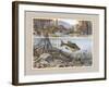 Trout under Water-Ron Jenkins-Framed Art Print