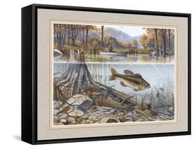 Trout under Water-Ron Jenkins-Framed Stretched Canvas