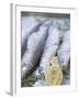 Trout with Lemon Halves and Herbs Ready for Grilling-Eising Studio - Food Photo and Video-Framed Photographic Print