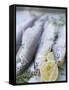 Trout with Lemon Halves and Herbs Ready for Grilling-Eising Studio - Food Photo and Video-Framed Stretched Canvas