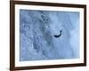 Trout-null-Framed Photographic Print