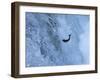 Trout-null-Framed Photographic Print