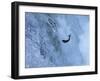 Trout-null-Framed Photographic Print