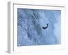 Trout-null-Framed Photographic Print