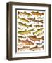 Trout-English School-Framed Giclee Print