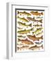 Trout-English School-Framed Giclee Print