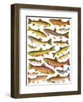 Trout-English School-Framed Premium Giclee Print