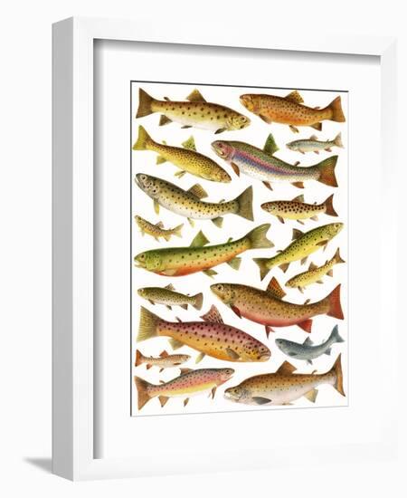 Trout-English School-Framed Premium Giclee Print