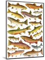 Trout-English School-Mounted Premium Giclee Print