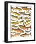 Trout-English School-Framed Giclee Print