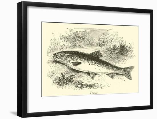 Trout-null-Framed Giclee Print