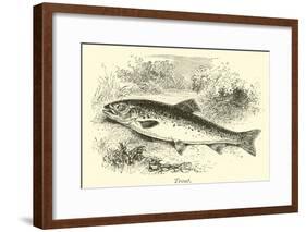 Trout-null-Framed Giclee Print