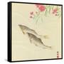 Trouts and Wild Pink-Koson Ohara-Framed Stretched Canvas