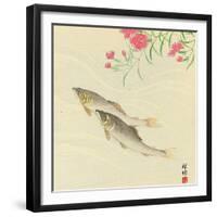 Trouts and Wild Pink-Koson Ohara-Framed Giclee Print