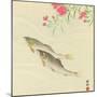 Trouts and Wild Pink-Koson Ohara-Mounted Giclee Print