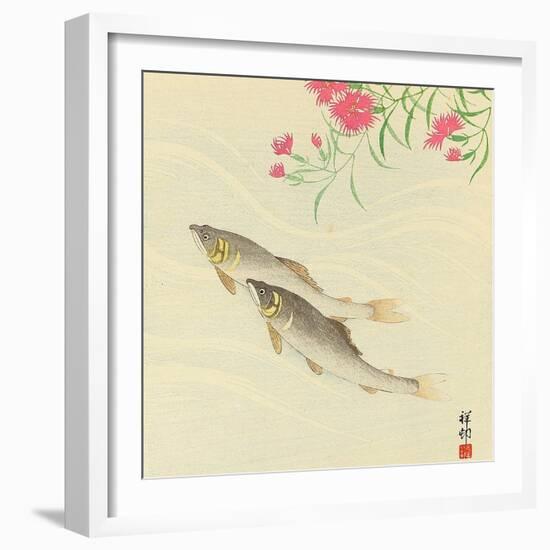 Trouts and Wild Pink-Koson Ohara-Framed Giclee Print