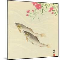 Trouts and Wild Pink-Koson Ohara-Mounted Giclee Print