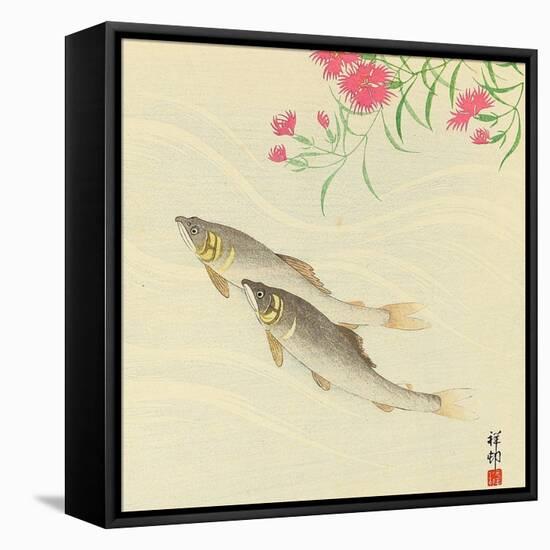 Trouts and Wild Pink-Koson Ohara-Framed Stretched Canvas