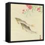 Trouts and Wild Pink-Koson Ohara-Framed Stretched Canvas