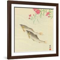 Trouts and Wild Pink-Koson Ohara-Framed Giclee Print