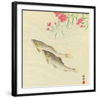 Trouts and Wild Pink-Koson Ohara-Framed Giclee Print