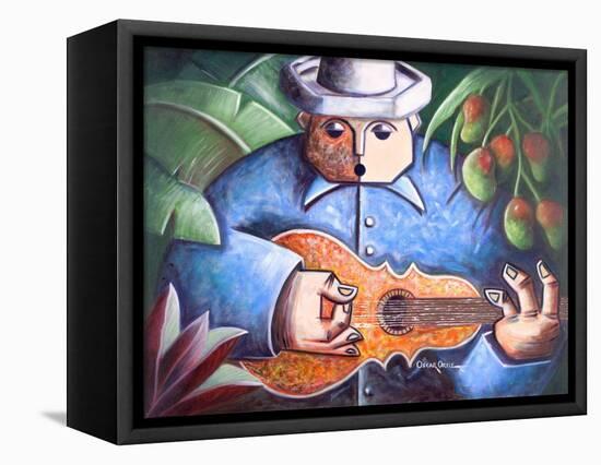 Trovador De Mango Bajito-Oscar Ortiz-Framed Stretched Canvas