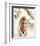 Troy Donahue-null-Framed Photo